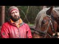 How Horses Help Restore Fingle Woods Ancient Woodland | Woodland Trust