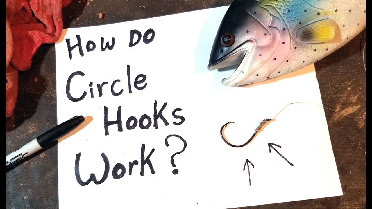 Circle Hooks For Catfish - 3 Mistakes That Cost You Fish 