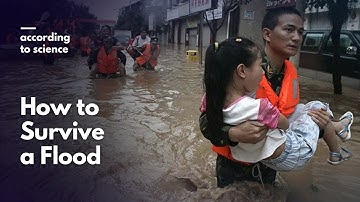 How to Survive a Flood, According to Science