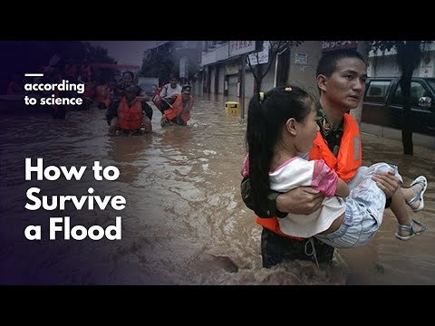 How to Survive a Flood, According to Science