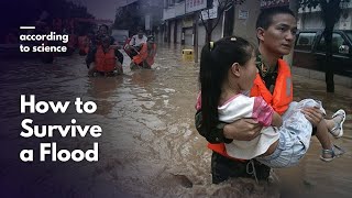 How to Survive a Flood, According to Science