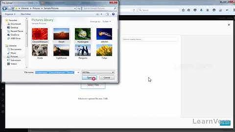 Answer to Assignment 5 - How to set up Plugins