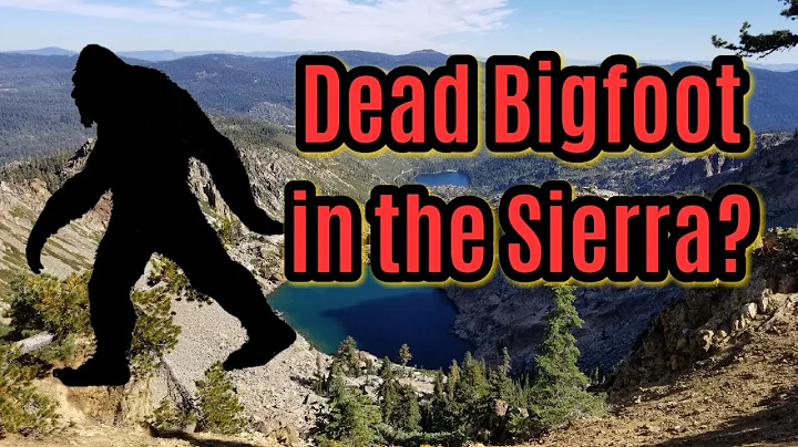 Dead Bigfoot in the Sierra? - On the search with J...
