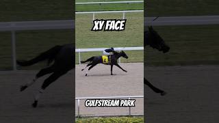 Xy Face And Marcos Meneses Grab The Victory In Race 1.