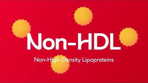 Understanding Cholesterol