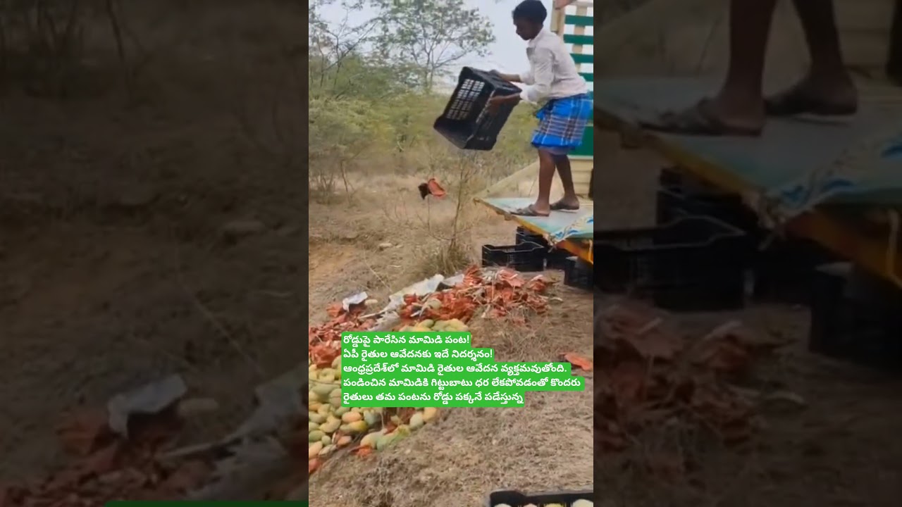 14 జూన్, 2026