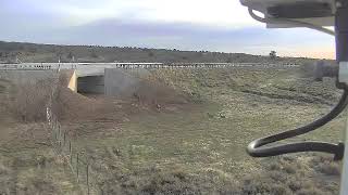 Elk Crossing on Highway 191 in Utah