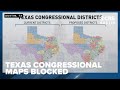 Federal court blocks Texas from using new congressional map in midterms