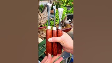 Combo 3 Cây Đục tạo Cây Cảnh bonsai #bonsaishop