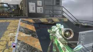 Get SMACKED! (BO2 Lefty)