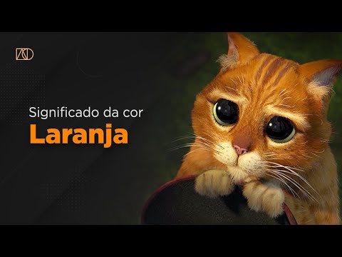 Vídeo: Qual é o significado de uma laranja em uma meia de Natal?