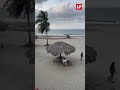 Sancionan a conductores por maniobras peligrosas en playa de Tela