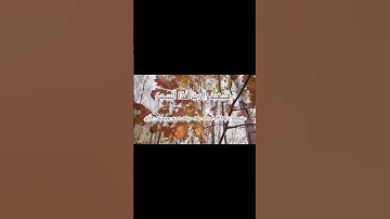 سوره قريش بصوت خاشع ماهر المعيقل #قران_كريم