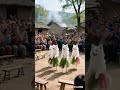 Different Performance Dog Performance Talent Samba Happiness Is Happiness Boo Absurd Video Different Performance Dog Performance Talent Samba Happiness Is Happiness Boo Absurd Video