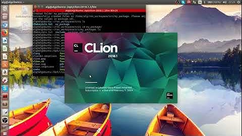 Using CLion to edit and build ROS Package