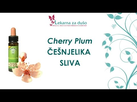 Video: Cherrysliva