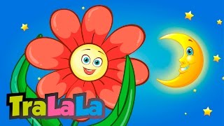 Mica floare - Cântece pentru copii | TraLaLa