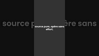 Ccs Lentreprise Réelle - Ce Nest Pas Un Message. Cest Une Pulsation Du Champ.