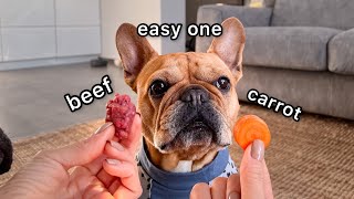 Taste Test with Two Frenchies by Isa, Hugo & Tom French Bulldog 14,644 views 2 years ago 2 minutes, 21 seconds