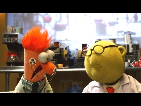 Flowers On The Wall | with Bunsen and Beaker | Muppets Music Video | The Muppets