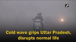 Cold wave grips Uttar Pradesh, disrupts normal life
