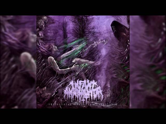 Infant Annihilator - Behold The Kingdom Of The Wretched Undying