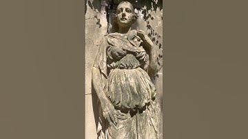 ✨ The Way You See the World Creates the World You See 🌍  Empowering Perspective Shift