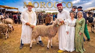 The Shocking Truth About Morocco's Eid Prices: Sebt Gzoula Tour