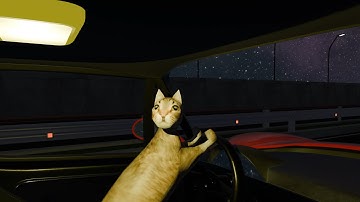 You wake up and... the cat is driving?