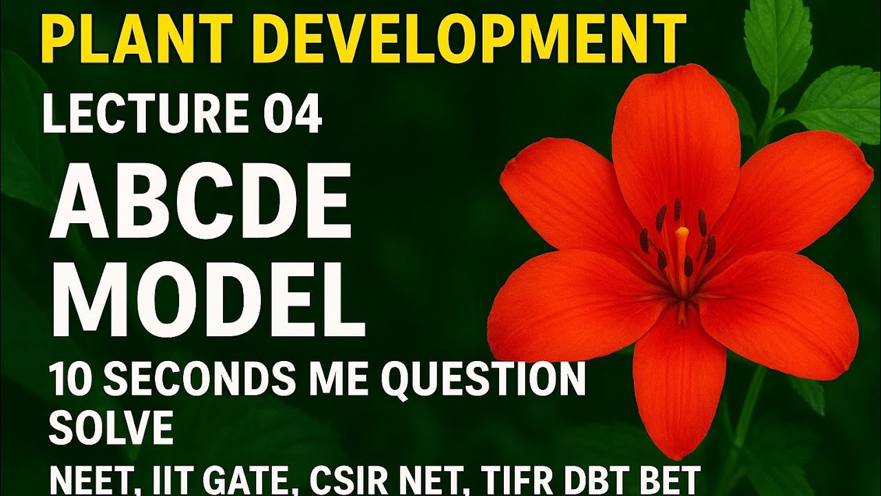 ABC Model |ABCDE Model | Plant Development | Botany | By Ranjeet Kumar ...