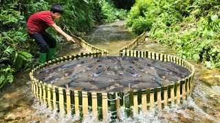 The boy Lam's super fishing skills used bamboo to make traps and caught a lot of fish.