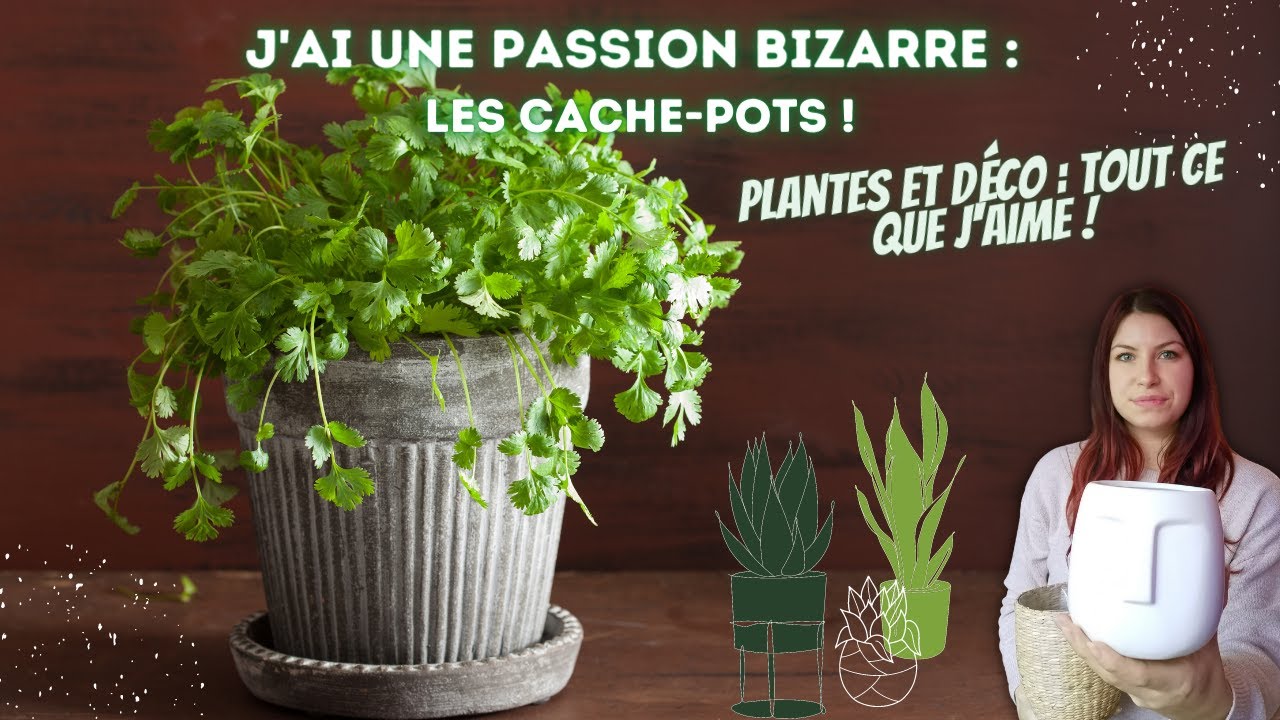 Passion bizarre : les cache-pots ! #plantes & déco - YouTube
