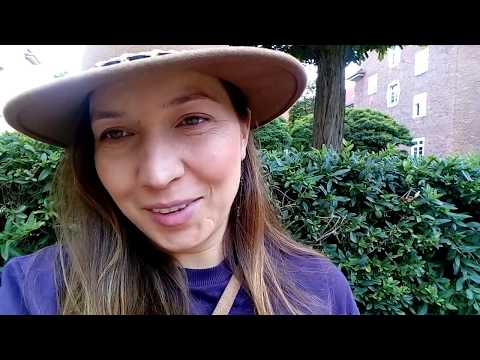 Беременность и аппетит. Как я похудела будучи беременной