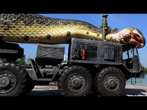 10 거대 뱀 설명