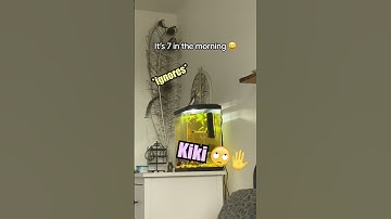 Thumbnail of Cutest Alarm Clock! 😍 @kiki.tiel