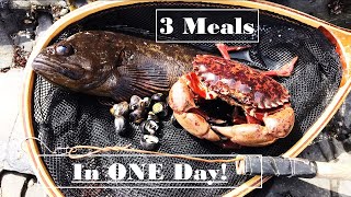 Foraging Breakfast, Lunch & Dinner in 1 day! SF BAY AREA Catch & COOK!