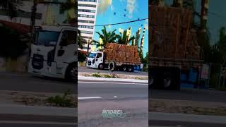 Ford Cargo Top No Rojão