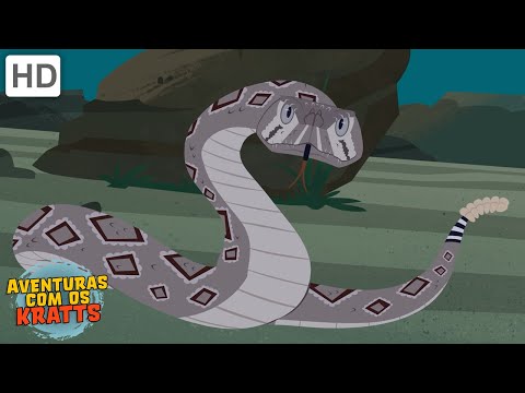 Répteis | Crocodilos, lagartos, cobras + mais! [episódios completos] Aventuras com os Kratts