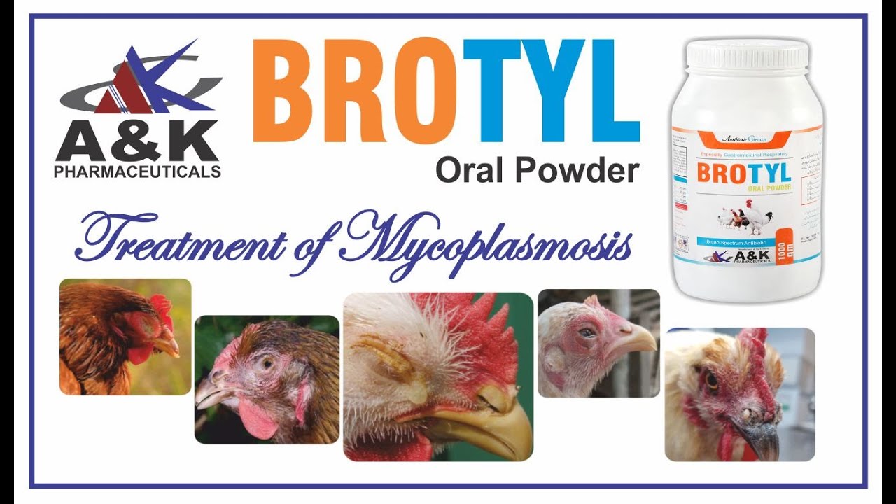 Brotyl Powder | Mycoplasmosis, CRD, CCRD treatment | Broilers, Layers, Breeders | Antibiotics