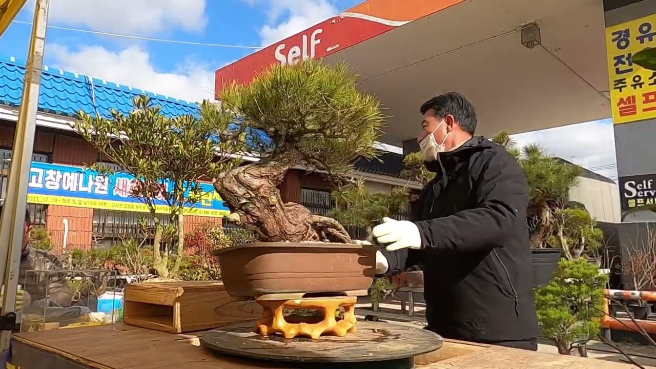 고창예나원경매장 22.1.16 일요경매4 #매주(토,일)낮12시30분경매# 010 3671 5400 고창군 고창읍 녹두로1033 HP주유소(전북대 고창캠퍼스 앞)