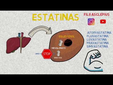 Video: ¿Las estatinas aumentan los niveles de alcoholemia?