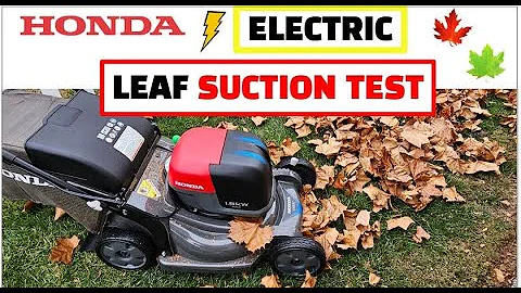 HONDA SUCKS ! LEAF Suction Test Honda Electric Mower Honda Battery Mower Review