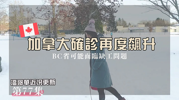 Omicron取代Delta成為BC省主要變種病毒！BC省單日確診飆升4000人! 魁北克省實施宵禁、安大略省餐廳禁止內用! - [溫哥華每週近況更新#77] - 天天要聞
