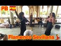 Oktubre 2023 Ep166 | La Flamenco Dance Open Show | Plaza de España #sevillanas #flamenco #sevilla