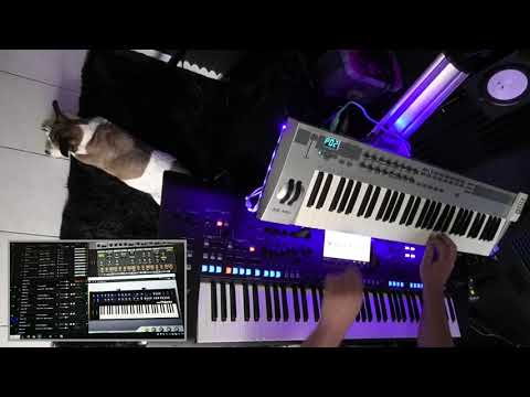 Kim Wilde   You Came Cover on Yamaha Genos
