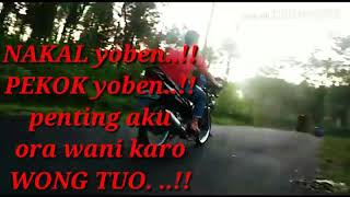video story wa ANAK CB KECE 😎