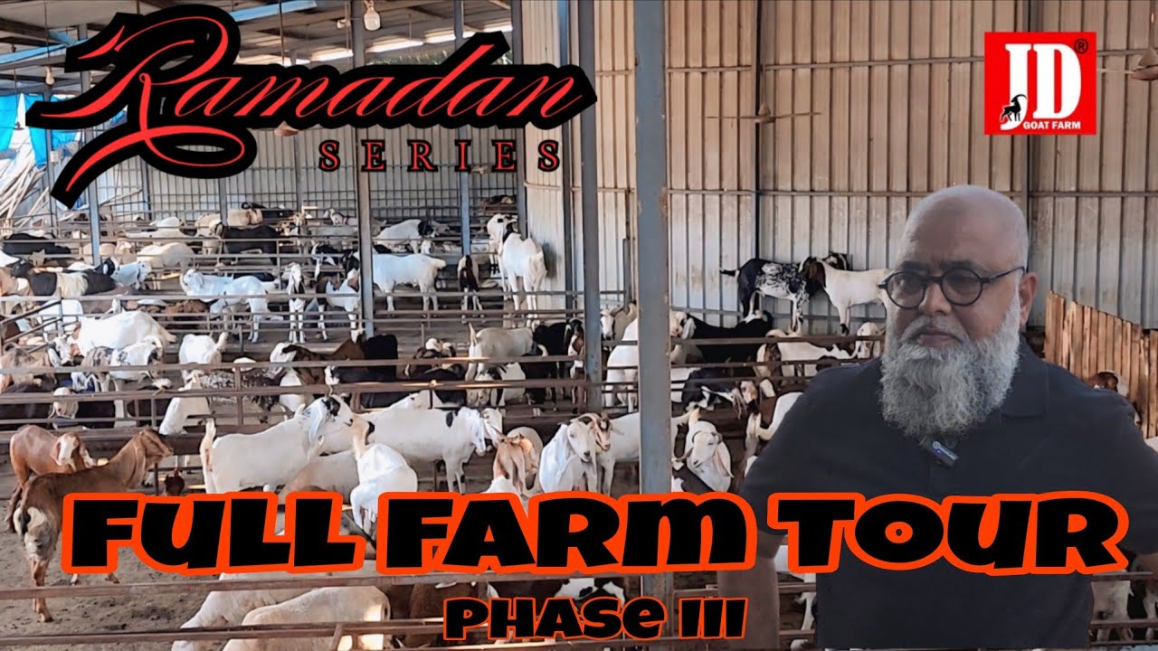 JD Goat Farm Phase III Full Farm Tour | JD Goat Farm