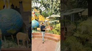 Lucknow Zoo //लखनऊ चिड़ियाघर 🦆🦢🐤🐥 #lucknowzoo  #youtubeshorts #trending #shortsfeed