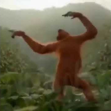 MONYET JOGET SAHUR