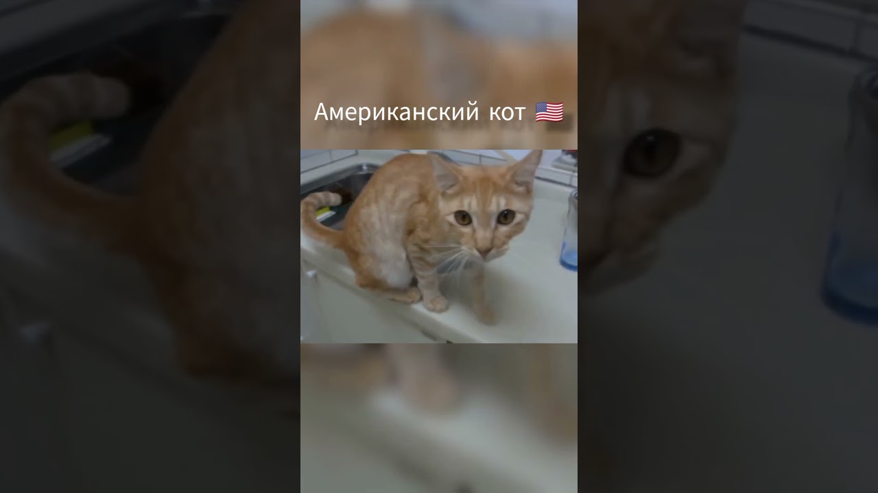 Архивные файлы 1941 